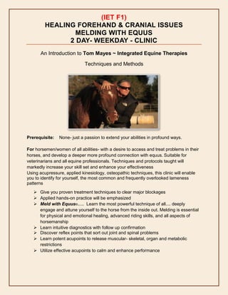 (IET F1)
HEALING FOREHAND & CRANIAL ISSUES
MELDING WITH EQUUS
2 DAY- WEEKDAY - CLINIC
An Introduction to Tom Mayes ~ Integrated Equine Therapies
Techniques and Methods
Prerequisite: None- just a passion to extend your abilities in profound ways.
For horsemen/women of all abilities- with a desire to access and treat problems in their
horses, and develop a deeper more profound connection with equus. Suitable for
veterinarians and all equine professionals. Techniques and protocols taught will
markedly increase your skill set and enhance your effectiveness
Using acupressure, applied kinesiology, osteopathic techniques, this clinic will enable
you to identify for yourself, the most common and frequently overlooked lameness
patterns
 Give you proven treatment techniques to clear major blockages
 Applied hands-on practice will be emphasized
 Meld with Equus®..... Learn the most powerful technique of all.... deeply
engage and attune yourself to the horse from the inside out. Melding is essential
for physical and emotional healing, advanced riding skills, and all aspects of
horsemanship
 Learn intuitive diagnostics with follow up confirmation
 Discover reflex points that sort out joint and spinal problems
 Learn potent acupoints to release muscular- skeletal, organ and metabolic
restrictions
 Utilize effective acupoints to calm and enhance performance
 