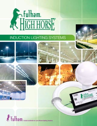 INDUCTION LIGHTING SYSTEMS
 