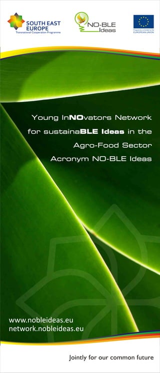 NO-BLE Ideas - flyer
