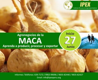 Informes: Teléfonos: 639-7172 / 9963-99096 / 9835-82440 / 9835-82427
Email: info@ipexperu.org
MACA
Agronegocios de la
Aprenda a producir, procesar y exportar
Ins tuto Peruano de Agroexportadores
Inicio
Junio
2727
 