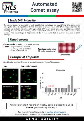 The comet assay is a sensitive, well established technique for quantifying DNA damage in
eukaryotic cells. Compatible with the detection of a wide range of DNA damaging agents, its
principle consists in migration of fragmented DNA in an electrophoresis gel (damaged DNA
forming the tail of the comet), while intact DNA moves at a slower rate (head of the
comet). The percentage of fragmented DNA in the comet tail is a direct measure of DNA
damage.
Automated
Comet assay
CTRL Etoposide 500µM
Study DNA integrity
Example of Etoposide
For more information, go to www.hcs-pharma.com
For a quotation, contact us at welcome@hcs-pharma.com
Comet slide
Ask for our short report on HepG2 cells exposed to our in
house genotoxicity library !
Cells: - suspension or adherent
- primary cells or cell line
- with or without S9
Compounds: powder or in stock solution
HepG2 cells exposed 3 hours to several concentrations of Etoposide.
Trevigen automated
96 wells comet assay
Requirements
SegmentationSegmentation
DNA DNA
G E N O T O X I C I T Y
 