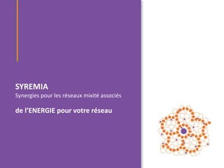 SYREMIA
Synergies pour les réseaux mixité associés

de l’ENERGIE pour votre réseau
 