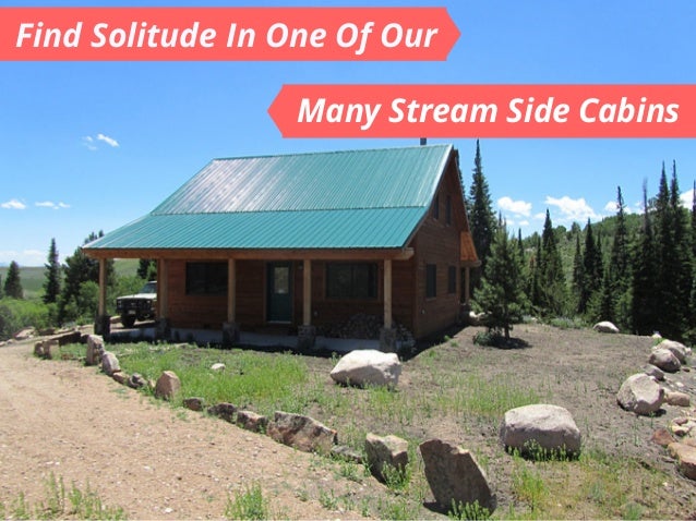 Fly Fishing Guide Service In Colorado