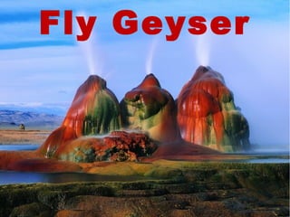 Fly Geyser 

 