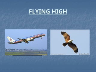 Flying high a detailed explanation about birds | PPTX