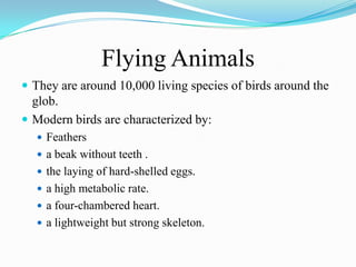 Flying Animals
 They are around 10,000 living species of birds around the
  glob.
 Modern birds are characterized by:
   Feathers
   a beak without teeth .
   the laying of hard-shelled eggs.
   a high metabolic rate.
   a four-chambered heart.
   a lightweight but strong skeleton.
 