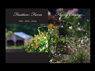 Flying Change at Fruition Farm