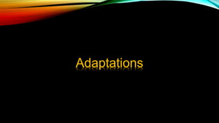 Adaptations
 