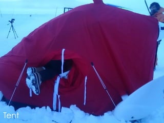 √
71Tent
 