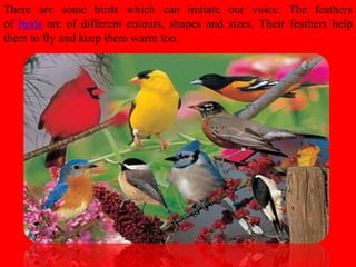 There are some birds which can imitate our voice. The feathers
of birds are of different colours, shapes and sizes. Their feathers help
them to fly and keep them warm too.
 