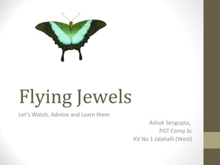 Flying Jewels
Let’s Watch, Admire and Learn them
Ashok Sengupta,
PGT Comp Sc
KV No 1 Jalahalli (West)
 