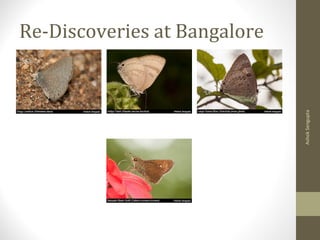 Re-Discoveries at Bangalore
AshokSengupta
 