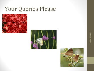 Your Queries Please
AshokSengupta
 