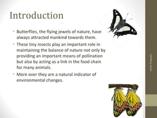 Introduction
• Butterflies, the flying jewels of nature, have
always attracted mankind towards them.
• These tiny insects play an important role in
maintaining the balance of nature not only by
providing an important means of pollination
but also by acting as a link in the food chain
for many animals.
• More over they are a natural indicator of
environmental changes.
AshokSengupta
 
