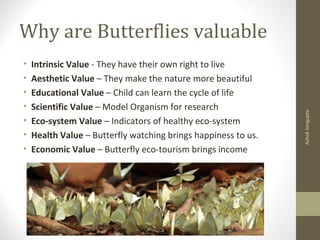 Why are Butterflies valuable
• Intrinsic Value - They have their own right to live
• Aesthetic Value – They make the nature more beautiful
• Educational Value – Child can learn the cycle of life
• Scientific Value – Model Organism for research
• Eco-system Value – Indicators of healthy eco-system
• Health Value – Butterfly watching brings happiness to us.
• Economic Value – Butterfly eco-tourism brings income
AshokSengupta
 