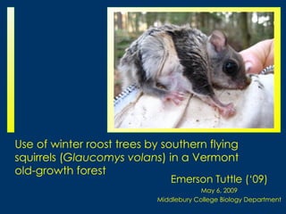 Use of winter roost trees by southern flying
squirrels (Glaucomys volans) in a Vermont
old-growth forest
                               Emerson Tuttle (‘09)
                                        May 6, 2009
                           Middlebury College Biology Department
 