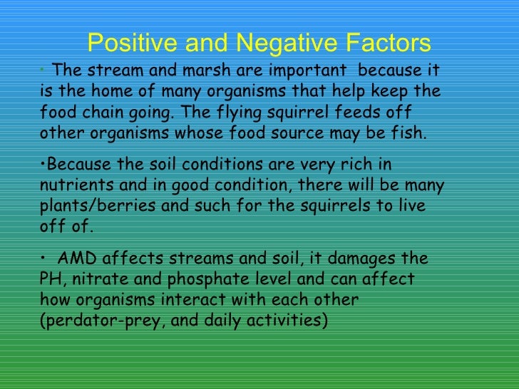 how affects flying environment the squirrels Kayla Flying Burt presentation how affects flying environment the squirrels Kayla Flying Burt presentation