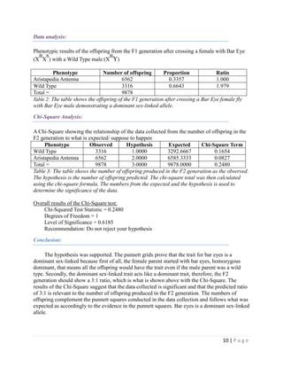 Fly Lab | DOCX