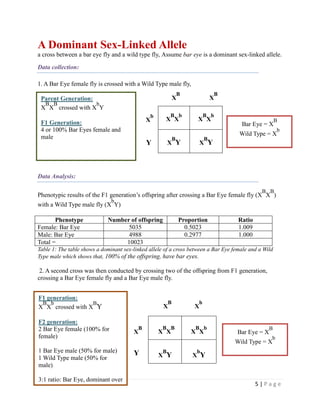Fly Lab | DOCX