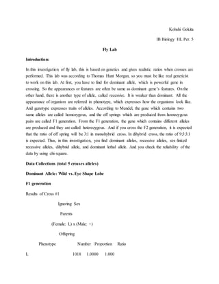 Kohshi Gokita
IB Biology HL Per. 5
Fly Lab
Introduction:
In this investigation of fly lab, this is based on genetics and gives realistic ratios when crosses are
performed. This lab was according to Thomas Hunt Morgan, so you must be like real geneticist
to work on this lab. At first, you have to find for dominant allele, which is powerful gene in
crossing. So the appearances or features are often be same as dominant gene’s features. On the
other hand, there is another type of allele, called recessive. It is weaker than dominant. All the
appearance of organism are referred in phenotype, which expresses how the organisms look like.
And genotype expresses traits of alleles. According to Mendel, the gene which contains two
same alleles are called homozygous, and the off springs which are produced from homozygous
pairs are called F1 generation. From the F1 generation, the gene which contains different alleles
are produced and they are called heterozygous. And if you cross the F2 generation, it is expected
that the ratio of off spring will be 3:1 in monohybrid cross. In dihybrid cross, the ratio of 9:3:3:1
is expected. Thus, in this investigation, you find dominant alleles, recessive alleles, sex-linked
recessive alleles, dihybrid allele, and dominant lethal allele. And you check the reliability of the
data by using chi-square.
Data Collections (total 5 crosses alleles)
Dominant Allele: Wild vs. Eye Shape Lobe
F1 generation
Results of Cross #1
Ignoring Sex
Parents
(Female: L) x (Male: +)
Offspring
Phenotype Number Proportion Ratio
L 1018 1.0000 1.000
 