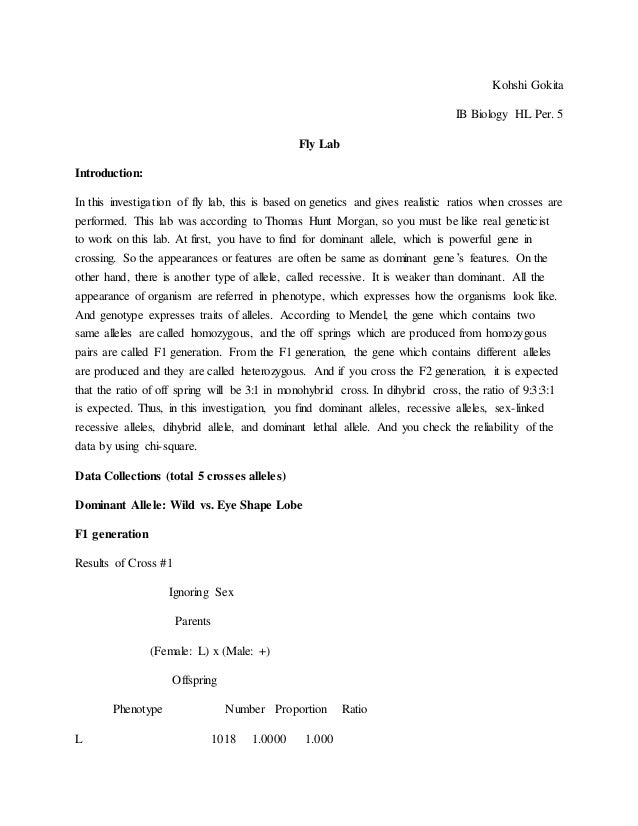 fly lab experiment fruit fly lab report