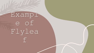 Exampl
e of
Flylea
f
 