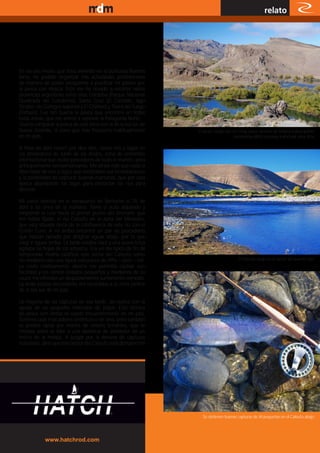 www.magazine-digital.net
                                                                                                          relato




En los seis meses que llevo viviendo en la bulliciosa Buenos
Aires, he podido organizar mis actividades profesionales
de manera de poder escaparme a practicar mi pasión por
la pesca con mosca. Esto me ha llevado a recorrer varias
provincias argentinas entre ellas Córdoba (Parque Nacional
Quebrada del Condorito), Santa Cruz (El Calafate, lago
Strobel, río Gallegos superior y El Chalten) y Tierra del Fuego
(Tolhuin). Fue tan buena la pesca que encontré en todas
estas zonas, que me animé a explorar la Patagonia Norte.
Quería comparar la pesca de esta zona con la de la isla sur de
Nueva Zelanda, la zona que más frecuento habitualmente            El sector medio del río Limay cubre sectores de belleza indescriptible,
en mi país.                                                                             haciéndose difícil no parar a efectuar unos tiros.

A fines de abril recorrí por diez días, varios ríos y lagos en
los alrededores de Junín de los Andes, zona de renombre
internacional que recibe pescadores de todo el mundo, pero
principalmente norteamericanos. Me atraía más que nada la
diversidad de ríos y lagos que mostraban sus inmediaciones
y la posibilidad de capturar buenas marrones, que por esta
época abandonan los lagos para remontar los ríos para
desovar.

Mi vuelo aterrizó en el aeropuerto de Bariloche el 25 de
abril a las once de la mañana. Tomé el auto alquilado y
emprendí la ruta hacia el primer punto del itinerario que
me había fijado: el río Caleufu en la zona del Monolito,
que está situada cerca de la confluencia de este río con el
Collón Cura. A mi arribo encontré un par de pescadores
que habían optado por dirigirse aguas abajo, por lo que
elegí ir aguas arriba. La tarde estaba clara y una suave brisa
agitaba las hojas de los arbustos. Era un día típico de fin de
temporada. Podría clasificar este sector del Caleufu como
río mediano con una típica estructura de riffle – pool – tail.                            El Caleufu abajo en el sector del puente roto.
La costa relativamente abierta me permitía castear con
facilidad y los cantos rodados pequeños y medianos de su
cauce me ofrecían un desplazamiento sumamente cómodo.
La árida estepa circundante me recordaba a la zona central
de la isla sur de mi país.

La mayoría de las capturas de esa tarde, las realicé con la
ayuda de un pequeño marcador de pique. Esta técnica
de pesca con ninfas es usada frecuentemente en mi país.
Solemos usar marcadores sintéticos o de lana, pera también
es posible optar por masilla de colores brillantes, que se
moldea sobre el líder a una distancia de alrededor de un
metro de la mosca. A juzgar por la docena de capturas
realizadas, diría que este sector del Caleufu está densamente




                                                                    Se obtienen buenas capturas de AI pequeñas en el Caleufu abajo.




            www.hatchrod.com                                                                                          13
 