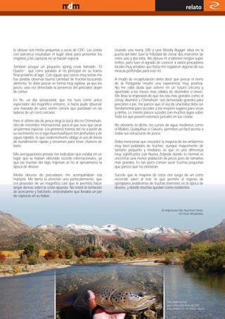 www.magazine-digital.net
                                                                                                                    relato




lo obtuve con ninfas pequeñas y secas de CDC. Las costas         Usando una teeny 200 y una Woolly Bugger oliva en la
con barranca resultaban el lugar ideal para presentar los        punta del líder tuve la felicidad de clavar dos marrones de
engaños y las capturas no se hacían esperar.                     entre uno y dos kilos. No obtuve ni vi obtener ningún super
                                                                 trofeo, pero tuve el agrado de conocer a varios pescadores
También pesqué un pequeño spring creek llamado “El               locales muy amables que hasta me regalaron algunas de sus
Quieto”, que corre paralelo al rio principal en su tramo         moscas preferidas para este río.
final próximo al lago. Con aguas que corren muy lentas me
fue posible observar buena cantidad de truchas buscando          A modo de recapitulación debo decir que pescar el norte
alimento. Se debe pescar en forma muy sigilosa, ya que los       de la Patagonia resultó una experiencia muy positiva.
peces, una vez detectada la presencia del pescador dejan         No me cabe duda que volveré en un futuro cercano y
de comer.                                                        apuntado a los meses mas cálidos de diciembre o enero.
                                                                 Me llevo la impresión de que los ríos más grandes como el
En fin, un día sensacional, que me tuvo como único               Limay, Aluminé y Chimehuin, son demasiado grandes para
espectador del magnífico entorno, si hasta pude observar         pescarlos a pie, me parece que el uso de una balsa debe ser
una manada de unos veinte ciervos que pastaban en las            fundamental para acceder a los mejores lugares para secas
laderas de un cerro cercano.                                     y ninfas. Lo mismo parece suceder con muchos lagos sobre
                                                                 todo los que poseen extensos juncales en sus costas.
Para el último día de pesca elegí la boca del río Chimehuin,
sitio de renombre internacional, para el que tuve que sacar      No obstante lo dicho, los cursos de agua medianos como
un permiso especial. Los primeros tramos del río a partir de     el Malleo, Quilquihue o Caleufu, permiten un fácil acceso a
su nacimiento en el lago Huechulafquen son profundos y de        todas sus estructuras de pesca.
aguas rápidas, lo que evidentemente obliga al uso de líneas
de hundimiento rápido y streamers para tener chances de          Debo mencionar que encontré la mayoría de los ambientes
éxito.                                                           muy bien poblados de truchas, aunque mayormente de
                                                                 tamaño pequeño y mediano, lo que es una diferencia
Mis averiguaciones previas me indicaban que estaba en un         muy significativa con Nueva Zelanda donde lo normal es
lugar que se habían obtenido records internacionales, ya         encontrar una menor población de peces pero de tamaños
que las truchas del lago ingresan al rio al aproximarse la       más grandes. Es tan poco común sacar truchas pequeñas
época de desove.                                                 que parece que no existieran.

Media docena de pescadores me acompañaban esa                    Sucede que la mayoría de estos ríos luego de un corto
mañana. Me llamo la atención uno particularmente, que            recorrido salen al mar, lo que permite el ingreso de
era poseedor de un magnifico cast que le permitía hacer          ejemplares anádromos de truchas marrones en la época de
largas derivas sobre la costa opuesta. No resistí la tentación   desove, y donde muchas quedan como residentes.
de acercarme y felicitarlo, enterándome que llevaba un par
de capturas en su haber.


                                                                                                El majestuoso Filo Hua Hum Oeste.
                                                                                                              Un trozo del paraíso.




                                                                                                    Una vital marrón
                                                                                                    que tomó una seca de CDC
                                                                                                    a la sombra de un añoso sauce .
                                                                                                                              17
 