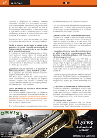 reportaje                                                                                  www.magazine-digital.net




afectando la composición del sedimento, formando                 de salmones hasta mas allá de la localidad de Río Pico.
depresiones. Esto último causa un incremento en la deriva
de macroinvertebrados, aumentando el riesgo de predación         En el caso del Corcovado, hasta los dos saltos importantes
por los peces aguas abajo. Esto determina dos tipos de           existentes (entre 5 y 8 metros respectivamente muy seguidas
efectos causados por este disturbio, el efecto directo sobre     una de otra) y que sirven de barrera natural. De lo contrario
el lugar donde son cavados los nidos y el efecto indirecto       ya hubiesen entrado hasta el Lago Vinter.
sobre los sitios río abajo de las camas de desove, debido a la
suspensión de sedimentos y sustrato, deriva, etc.                ¿Por qué su presencia no fue percibida anteriormente?
                                                                 La presencia de chinook se viene dando desde la década
Además podrían ser potenciales portadores de nuevas              del 80 en adelante. Esta observación coincide con un gran
enfermedades que pueden afectar a las especies residentes.       escape de salmones originados en la zona sur de Chile
                                                                 como consecuencia de un gran temporal que hubo, donde
Cecilia, la pregunta que les harían la mayoría de los            además se documentó la destrucción de balsas jaulas en
pescadores con mosca: ¿Es posible que las especies de            varios emprendimientos pesqueros.
truchas residentes en nuestros ríos se vean afectadas
por la presencia de salmones?                                    ¿Han podido determinar las condiciones de origen de
A mi entender, la invasión de cualquier especie a un sistema     los salmones presentes en nuestras cuencas (bases
nuevo genera un impacto. Ahora, este impacto puede               genéticas, características biológicas etc.)? En ese caso
ser beneficioso o perjudicial. Esto es lo que trataremos         ¿desde dónde provienen?
de establecer en este proyecto. Sabemos que los chinook          En base a estudios realizados entre 1999-2000, se
ingresan, es decir están en este nuevo ecosistema; bueno         determinaron varias características biológicas como por
entonces tratemos de determinar y si es posible cuantificar      ejemplo tiempo de ingreso al río, período de permanencia
el “efecto” que esto conlleva.                                   en el río, lugares de desove y lugares de avistaje, edades
                                                                 de los individuos, característica de la población (mezcla de
¿Consideran necesario intervenir en la población de              razas), posible agente de ingreso de nuevos patógenos al
salmones del Pacífico?..En caso afirmativo: ¿Cómo?               sistema, etc.
Esa es la pregunta que me realizan desde las asociaciones
de pesca, la Dirección de Pesca, etc.                            En cuanto al origen genético de cada población se hizo un
Para decirlo rápido, faltan estudios. Todavía no podemos         primer análisis, pero debido a la escasa muestra biológica no
definir específicamente si los impactos son negativos            se ha podido determinar fehacientemente aún. Esto también
respecto a las poblaciones existentes. Suponemos varias          forma parte del proyecto que estamos desarrollando en el
cosas que debemos confirmar con estudios y luego modelar         LIESA.
hacia adelante, para tomar decisiones.
                                                                 ¿En qué época los encontramos en los ríos de la zona?
¿Hasta qué lugares de las cuencas han encontrado                 Esto varía de acuerdo al río. Por ejemplo en el río Corcovado
ejemplares de Salmón?                                            desde septiembre ya se pueden observar; tal vez antes
En el caso del río Grande /Futaleufú llegan a las compuertas     también, ya que esto como mencioné anteriormente varía
de la represa hidroeléctrica. Si esa barrera no existiera, sin   de acuerdo a las condiciones presentes en esa temporada.
lugar a dudas tanto el PN Los Alerces como la cuenca             En río Pico a partir de octubre y en río Grande en enero.
hasta la zona de Cholila tendría presencia de salmones.
Hay relatos de salmones vistos en los ríos Corinto y Percy,      ¿Qué tipo de dieta tienen?
pero sin registros fehacientes aún.                              Los chinook maduros sexualmente (que son los que
                                                                 remontan los ríos para desovar) no se alimentan en esta
En el río Pico quedamos sorprendidos ya que hay registros        etapa de su vida. Ponen toda su energía a la migración y




22
 