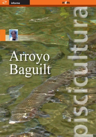 informe                 www.magazine-digital.net




           Texto y fotos:
           Fernando Belert




26
 