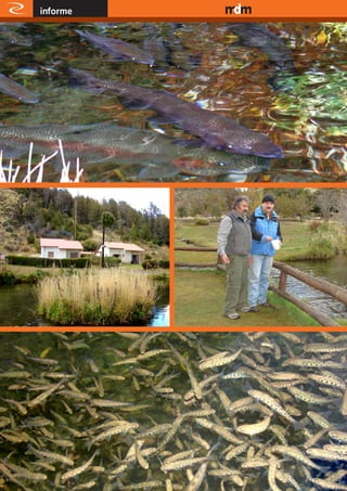 informe   www.magazine-digital.net




28
 