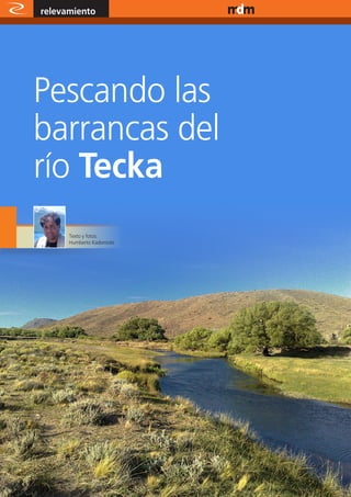 relevamiento              www.magazine-digital.net




Pescando las
barrancas del
río Tecka
           Texto y fotos:
           Humberto Kadomoto




20
 