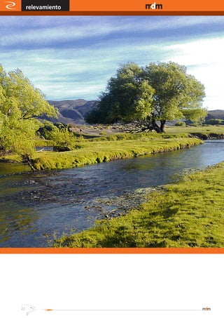 relevamiento   www.magazine-digital.net




22
 