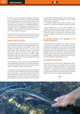 relevamiento                                                                                 www.magazine-digital.net




ya clásicas de foam (chernobyl, escarabajo, hormiguita,            o sea de rodillas. Cuando saquemos nuestra seca del agua,
etc.). Los lugares con pozones o remansos (generalmente            seamos suaves, tratemos de que llegue a la orilla y luego
luego de una corredera) nos invitan al uso de ninfas, donde        iniciamos otra vez el casteo.
la casi infalible Prince, con o sin bead head o alguna más         - La clavada no puede esperar, debe ser rápida y con la
específica como las Dragon darán excelentes resultados, y          fuerza justa, no olvidemos el tippet que estamos utilizando.
casi siempre al finalizar la deriva o eventualmente mientras
recogemos lenta y superficialmente presenciaremos un               - Nunca olvidemos que la mosca debe ir pegadita a la
“borbollón” persiguiendo la ninfa. Preferimos los anzuelos         barranca para obtener buenos portes, el medio del río es
10 o 12 para matizar con juveniles.                                para los juveniles, que también resultan una buena opción.
                                                                   El lanzamiento que más resultado nos ha dado es el que
Durante los meses “mas secos” las truchas en este río se           realizamos paralelo a nuestra misma orilla, a una buena
transforman en sumamente selectivas, poniendo a prueba             distancia.
nuestra paciencia, nuestra caja de moscas y las técnicas.
                                                                   El último tramo y el regreso a las
Explorando las orillas                                             zonas exclusivas
No desesperemos, las truchas “están”, el tema es ¿dónde?.          Los últimos 60 Km de río vuelven a ser “privados” ya que al
La velocidad del agua disminuye considerablemente en las           inicio corre en forma paralela al Arroyo Pescado, dentro del
orillas, y como el material es sedimentario, forma cuevas          establecimiento que posee un coto de pesca muy conocido.
y lugares de refugio para los peces. O sea que quizá               Este tramo es muy llano y prácticamente se encuentra sin
estén sobre la orilla enfrentada a nosotros o quizá estén          presión de pesca, por lo que las marrones y arco iris resultan
sobre nuestra misma orilla. Esos son los lugares claves.           verdaderos trofeos en ambientes reducidos, experiencia
Lanzamiento pegados a las orillas, casi sobre la algas,            difícil de olvidar. Finalmente, y hasta su confluencia con el
estos lugares tienen abundante alimento, muy específico,           Arroyo Pescado, antes de pasar a denominarse río Gualjaina,
sumado a la sombra de los sauces que protegen a los peces          el Tecka mantiene la imposibilidad de acceso.
de las altas temperaturas.
                                                                   A modo de conclusión
- Si presentamos una ninfa, controlaremos la velocidad de la
deriva, ayudándola en algunos casos, teniendo siempre en           Hay diferencias entre las zonas que obligadamente tienen
cuenta la profundidad que permite nuestro leader, siempre          menor presión de pesca, con aquellas que el accseo es
atentos a cualquier “parada” de nuestra línea.                     público. Pero no resultan significativas a la hora de evaluar
                                                                   otros aspectos: - la cantidad de “piques” en ambos casos
- Si pescamos con secas, presentaremos la mosca a escasos 5        es óptima y - las técnicas de pesca en ambos casos debe
a 10 cm de la orilla, sin desperdiciar los lugares con presencia   ser algo refinada.La diferencia fundamental es el cambio de
de “espumita blanca” y la cola de los pozones. Ojo, este río       bienes naturales comunes a bienes naturales privados.
presenta orillas altas respecto a los pozones, o sea que si no
somos precavidos, la trucha nos “verá” y buscará refugio
de inmediato, en estos casos podemos pescar “rezando”




24
 