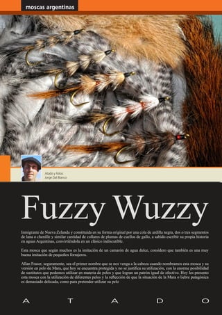 moscas argentinas                                                                    www.magazine-digital.net




              Atado y fotos:
              Jorge Dal Bianco




Fuzzy Wuzzy
Inmigrante de Nueva Zelanda y constituida en su forma original por una cola de ardilla negra, dos o tres segmentos
de lana o chenille y similar cantidad de collares de plumas de cuellos de gallo, a sabido escribir su propia historia
en aguas Argentinas, convirtiéndola en un clásico indiscutible.

Esta mosca que según muchos es la imitación de un camarón de agua dulce, considero que también es una muy
buena imitación de pequeños forrajeros.

Allan Fraser, seguramente, sea el primer nombre que se nos venga a la cabeza cuando nombramos esta mosca y su
versión en pelo de Mara, que hoy se encuentra protegida y no se justifica su utilización, con la enorme posibilidad
de sustitutos que podemos utilizar en materia de pelos y que logran un patrón igual de efectivo. Hoy les presento
esta mosca con la utilización de diferentes pelos y la reflección de que la situación de la Mara o liebre patagónica
es demasiado delicada, como para pretender utilizar su pelo




28
 