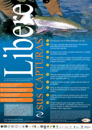 reportaje                  www.magazine-digital.net




                 sus CAPTURAS




40
 