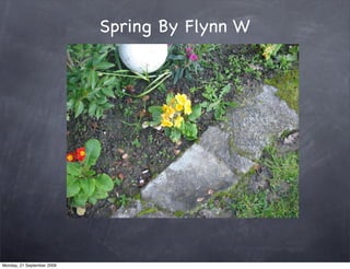 Spring By Flynn W




Monday, 21 September 2009
 