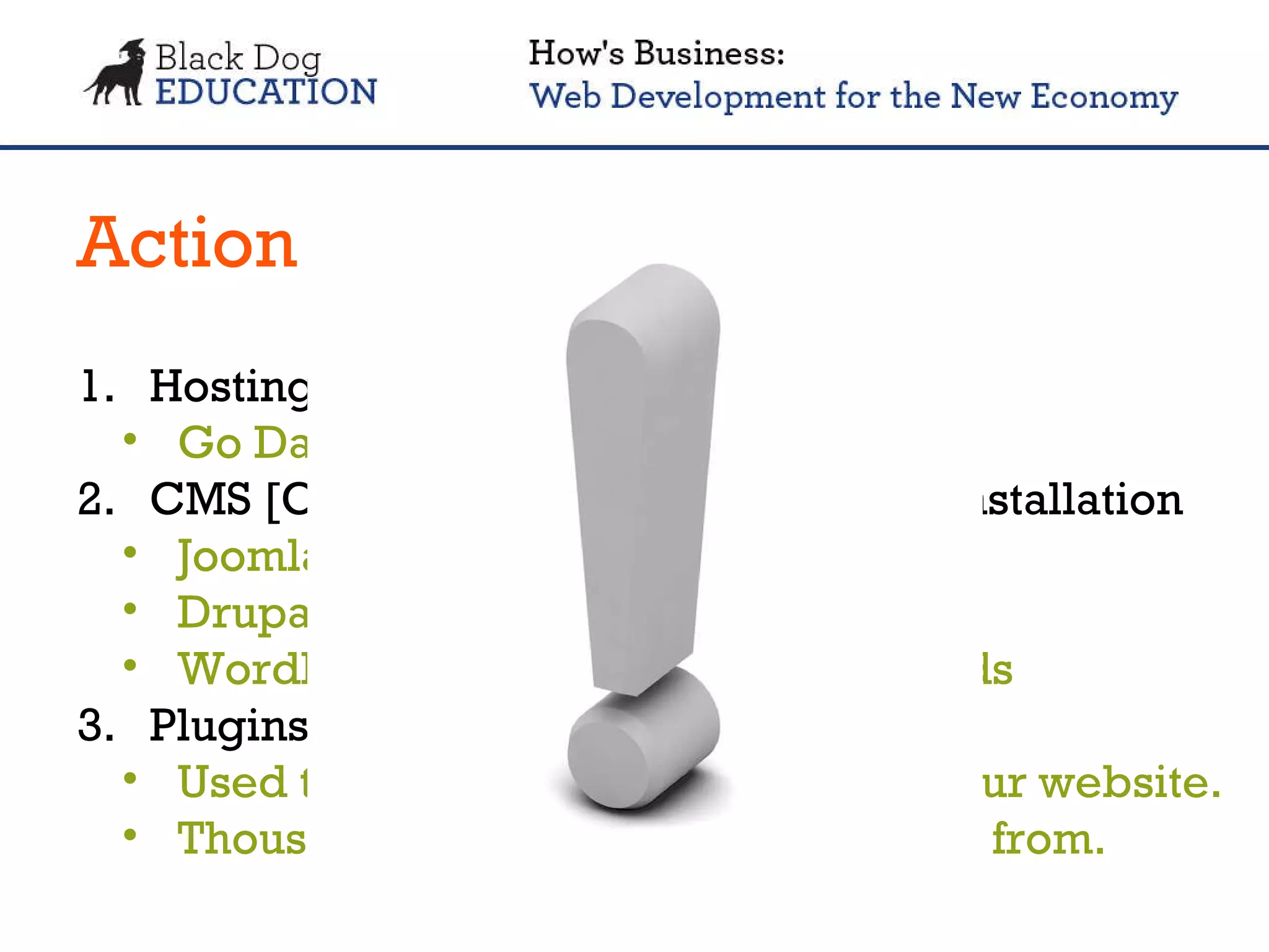 Action Plan Hosting & Domain Go Daddy, Network Solutions, etc. CMS [Content Management System] Installation Joomla Drupal WordPress    Black Dog Recommends Plugins Used to extend the functionality of your website. Thousands of FREE plugins to choose from. 