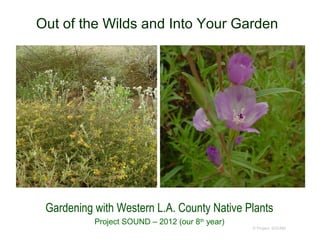Out of the Wilds and Into Your Garden




 Gardening with Western L.A. County Native Plants
           Project SOUND – 2012 (our 8th year)
                                                 © Project SOUND
 