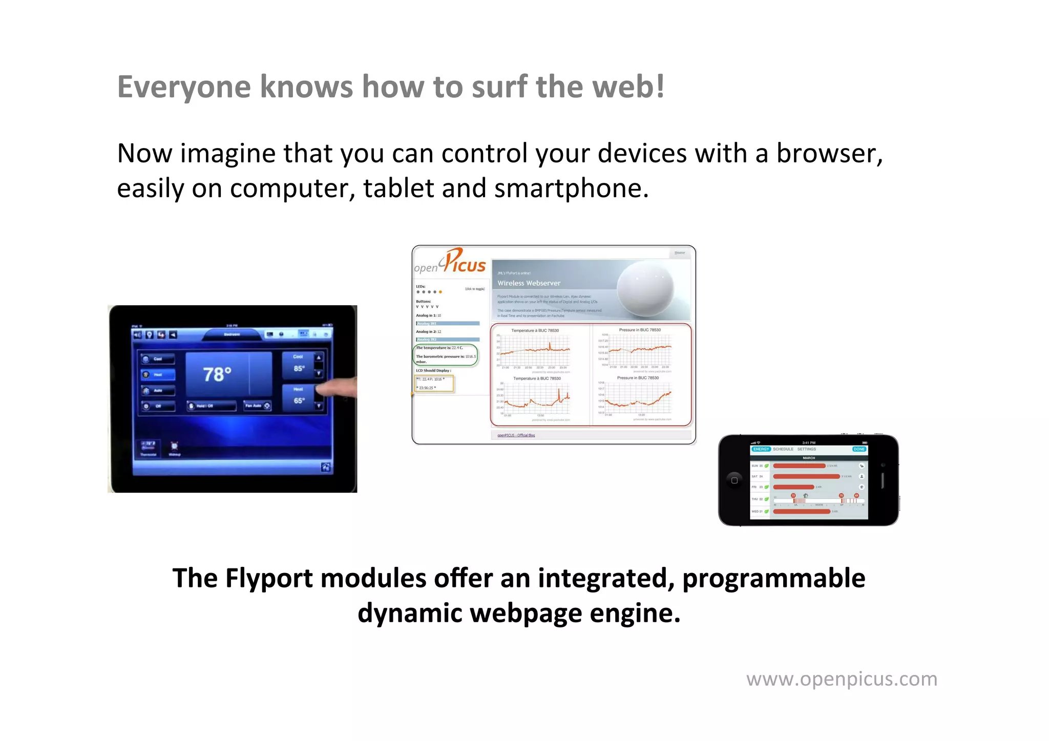OpenPicus FlyPort Technology Introduction | PDF