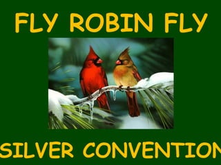 FLY ROBIN FLY SILVER CONVENTION 