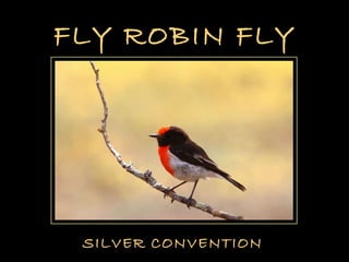 Fly Robin Fly ~ Birds