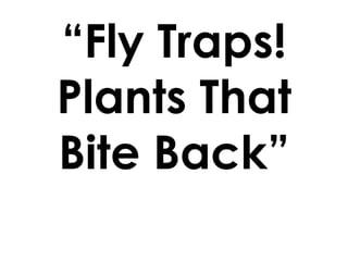 “Fly Traps! Plants That Bite Back” 