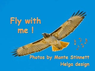 Flywith me ! Photosby Monte Stinnett Helga design 