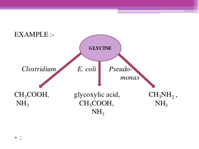 The 21 lessons of Merlyn : Douglas Monroe : Free Download, Borrow, and Streaming : Internet Archive 21 lessons of merlyn pdf download