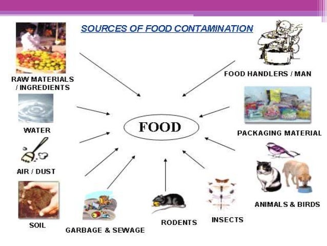 Thesis and dissertation in food microbiology