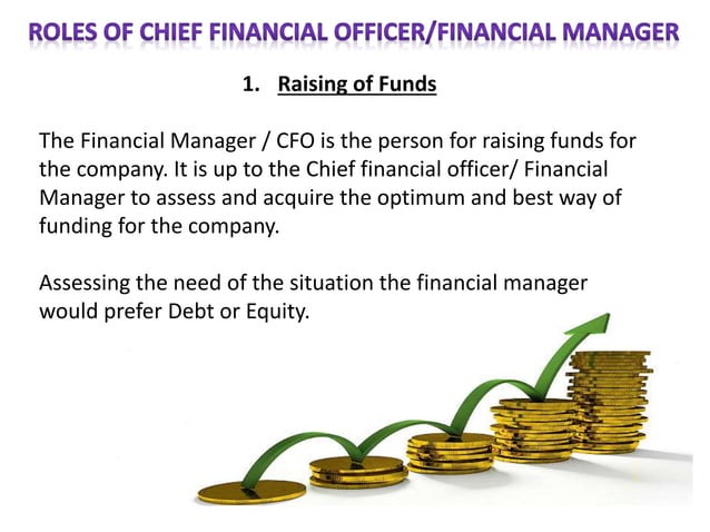 Role of a CFO | PPTX