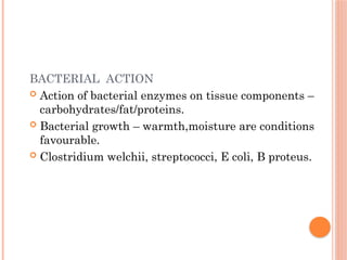BACTERIAL ACTION
 Action of bacterial enzymes on tissue components –
carbohydrates/fat/proteins.
 Bacterial growth – warmth,moisture are conditions
favourable.
 Clostridium welchii, streptococci, E coli, B proteus.
 