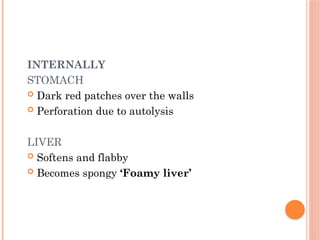 INTERNALLY
STOMACH
 Dark red patches over the walls
 Perforation due to autolysis
LIVER
 Softens and flabby
 Becomes spongy ‘Foamy liver’
 