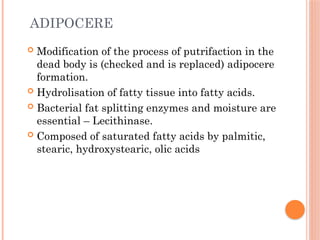 ADIPOCERE
 Modification of the process of putrifaction in the
dead body is (checked and is replaced) adipocere
formation.
 Hydrolisation of fatty tissue into fatty acids.
 Bacterial fat splitting enzymes and moisture are
essential – Lecithinase.
 Composed of saturated fatty acids by palmitic,
stearic, hydroxystearic, olic acids
 